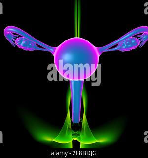 Anatomia del sistema riproduttivo femminile per l'illustrazione 3D del concetto medico Foto Stock