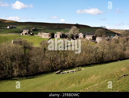 Il villaggio di Keld, Swaledale, Yorkshire Dales National Park, Regno Unito. Gli agricoltori tendono le pecore e gli agnelli nel campo sotto il villaggio. Foto Stock