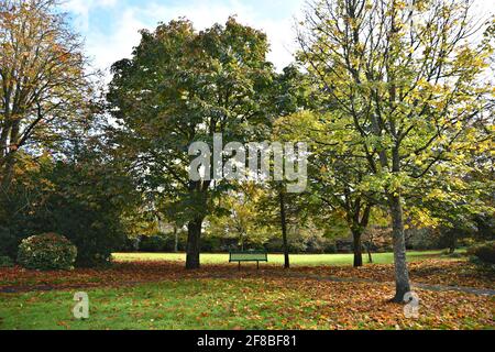 Paesaggio autunnale con vista panoramica di Adare Village Park a Limerick, Irlanda. Foto Stock