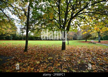 Paesaggio autunnale con vista panoramica di Adare Village Park a Limerick, Irlanda. Foto Stock