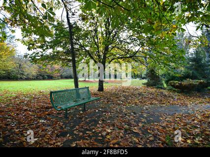 Paesaggio autunnale con vista panoramica di Adare Village Park a Limerick, Irlanda. Foto Stock