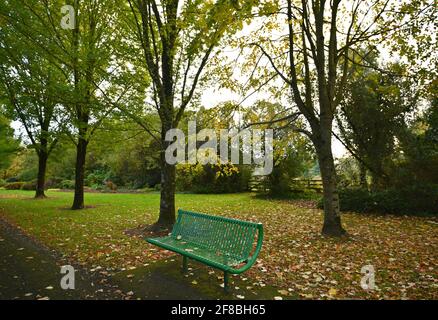 Paesaggio autunnale con vista panoramica di Adare Village Park a Limerick, Irlanda. Foto Stock