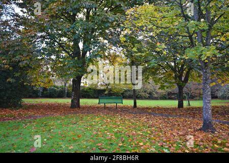 Paesaggio autunnale con vista panoramica di Adare Village Park a Limerick, Irlanda. Foto Stock