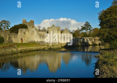 Paesaggio con vista panoramica della fortezza medievale di Desmond Castello e giardini circostanti sulle rive del fiume Maigue ad Adare, Limerick Irlanda. Foto Stock