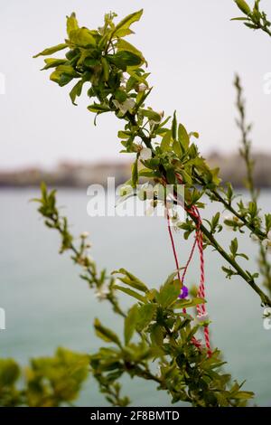 Martenitsa su un albero, tradizione primaverile bulgara Foto Stock