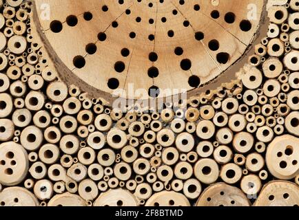 Insect Hotel Bee hotel con piccoli tubi nel legno Foto Stock
