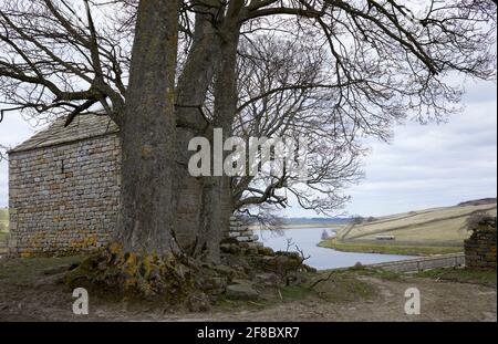 Vista del fienile ora derelict Round Hill fattoria con il serbatoio in distanza Foto Stock