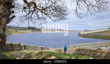 Donna adulta e 2 cani da compagnia che si avvicinano al lago artificiale di Roundhill da Il derelict Round Hill fattoria edifici Foto Stock