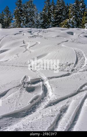 Tracce sulla neve,Monte Vitosha,Bulgaria, Foto Stock