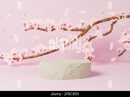 rock per la presentazione del prodotto con ramo pieno di fiori di ciliegio Foto Stock