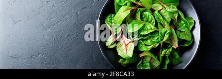 Foglie fresche di bietole svizzere o di mangold in ceramica nera su fondo di cemento scuro. Concetto per la preparazione di alimenti sani e vegetariani, top Foto Stock