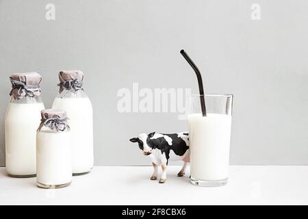 Bottiglie di latte fresco, una figurina di una mucca e un bicchiere di latte su fondo grigio chiaro. Minimalistica vita morta del latte, spazio di copia. Foto Stock