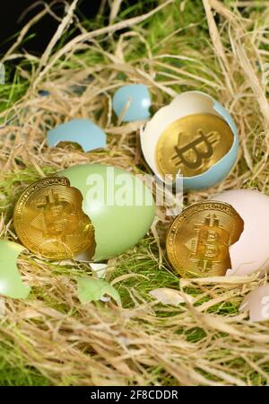 Galati, Romania - 13 Aprile 2021 Studio shot di valuta dorata di Bitcoin e uova di Pasqua Foto Stock