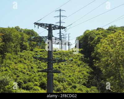 Pali elettrici con fili in piedi in una zona boscosa densa in estate soleggiato giorno. Linee elettriche Foto Stock