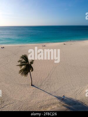 Eagle Beach Aruba, palme sulla costa di Eagle Beach in Aruba spiaggia bianca e blu oceano Foto Stock