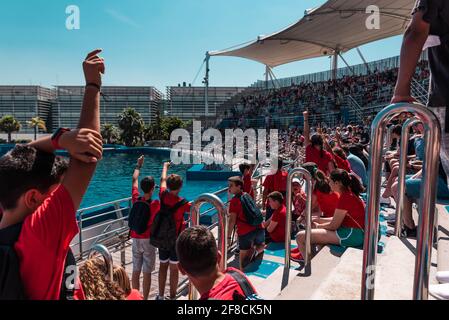 Studenti universitari che frequentano uno spettacolo di delfini all'Oceanografic nella Città delle Arti e delle Scienze di Valencia, Spagna. Foto Stock