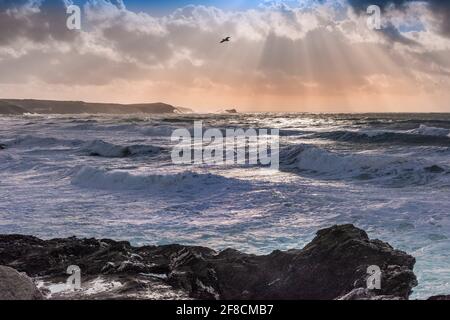 In tarda serata la luce su Fistral Bay a Newquay in Cornovaglia. Foto Stock