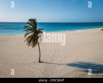 Eagle Beach Aruba, palme sulla costa di Eagle Beach ad Aruba, vista sul drone su una spiaggia con palme e ombrelloni Foto Stock