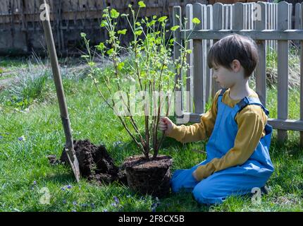 Piccolo aiutante in giardino Foto Stock