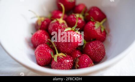 Fragole rosse mature in un recipiente bianco Foto Stock