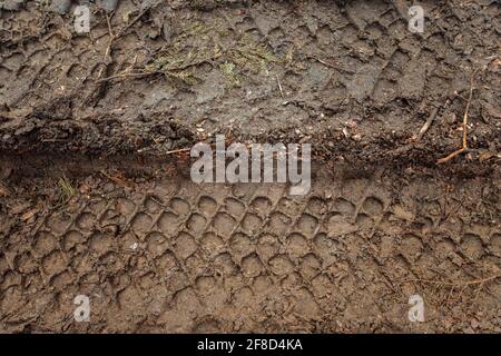 fango sulla strada fangosa. tracce dalle ruote di auto di passaggio nel bagnato, terreno ammorbidito. la strada è difficile per il trasporto di passare. puddles in Foto Stock