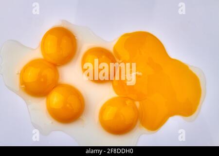 Tuorli di uovo di pollo su sfondo bianco. Foto Stock