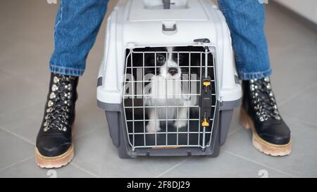 Una donna sta tenendo una gabbia da viaggio con un cane all'interno. Vacanze con un animale domestico. Papillon cane farfalla. Foto Stock