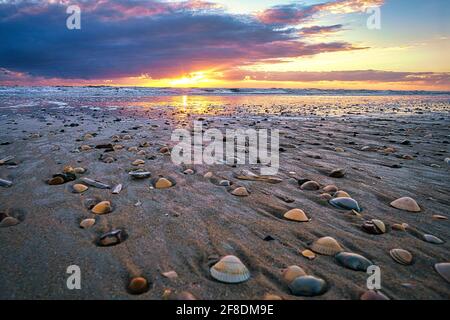 Sulla spiaggia di Blåvand in Danimarca Foto Stock