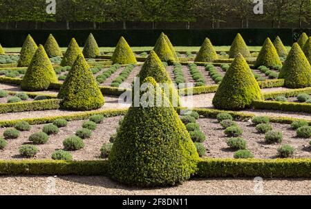 Il giardino formale Cherry a Ham House, Richmond upon Thames, Londra UK, con siepi di scatola e lavanda piantati in una griglia. Foto Stock