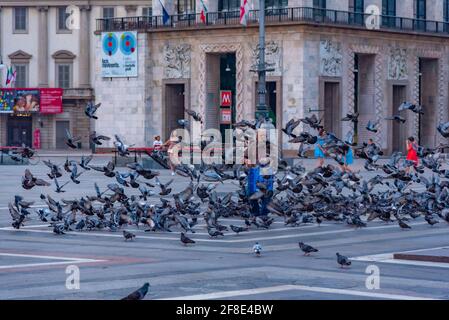 MILANO, ITALIA, 20 LUGLIO 2019: La persona sta nutrendo i piccioni in Piazza del Duomo a Milano, Italia Foto Stock