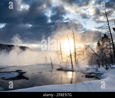 WY04627-00...WYOMING - Canary Springs nella terrazza superiore delle sorgenti termali di Mammoth nel Parco Nazionale di Yellowstone. Foto Stock