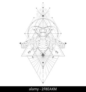 Illustrazione vettoriale con vespa disegnata a mano e simbolo geometrico Sacro su sfondo bianco. Segno mistico astratto. Forma lineare nera. Per voi progettazione: ta Illustrazione Vettoriale