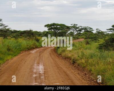 Parco Nazionale Serengeti, Tanzania, Africa - 29 febbraio 2020: Strada sterrata attraverso il Parco Nazionale Serengeti Foto Stock