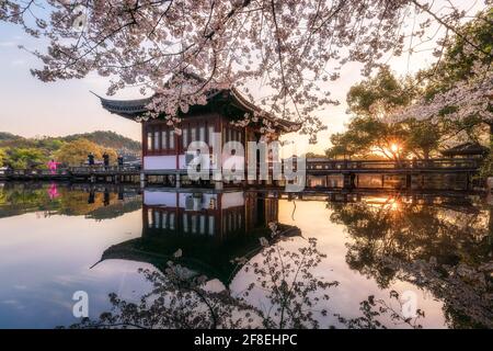 Paesaggio primaverile fiorito di ciliegi a Hangzhou West Lake sotto la luce del sole, Hangzhou, Cina Foto Stock