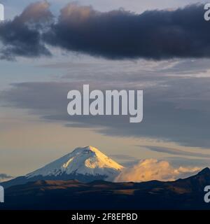 Vulcano Cotopaxi al tramonto con aereo da volo, Quito, provincia di Cotopaxi, Ecuador. Foto Stock