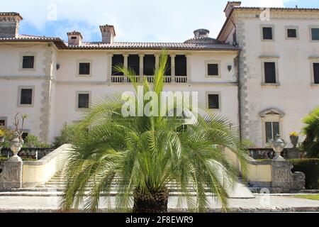 Vista ravvicinata all'aperto del Museo e del Giardino di Vizcaya. Albero di palma con edificio sullo sfondo. Foto Stock