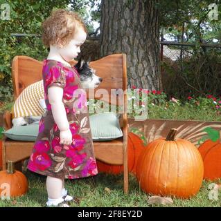 Vista laterale di un bambino americano in un abito con motivi di fiore in piedi accanto ad un cane su una sedia Foto Stock