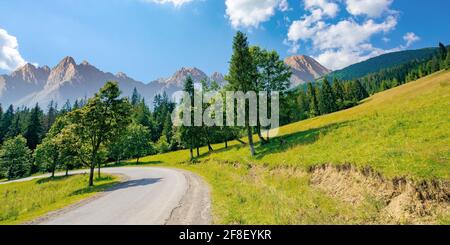 strada asfaltata attraverso le montagne boscose. bel mezzo di trasporto di campagna sfondo. paesaggio composito con alta cresta tatra in lontananza. s Foto Stock