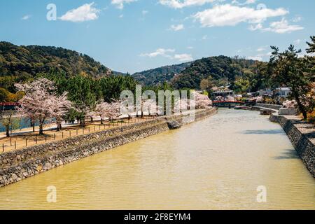 Parco fluviale Uji in primavera a Kyoto, Giappone Foto Stock