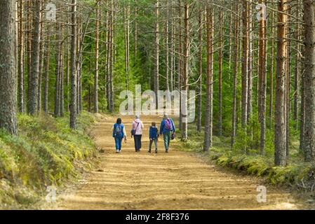 Famiglia a piedi sulla foresta primaverile. Sentieri nella foresta per tutta la famiglia. Stile di vita sano Foto Stock