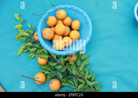 Primo piano di pompelmo fresco in un recipiente blu uno sfondo blu Foto Stock