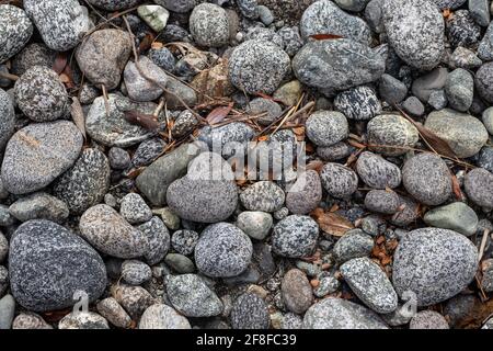 rocce puntinate sparse sulla riva di milford Foto Stock