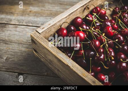 Ciliegie mature e succose in gabbia di legno su sfondo rustico scuro. Messa a fuoco selettiva. Profondità di campo poco profonda. Foto Stock