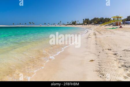 Palme sulla spiaggia di al Mamzar a Dubai Foto Stock