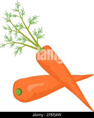 Icona della carota. Cibo sano, verdure arancioni. Fonte di vitamine A, snack dolce. Un ingrediente per pranzo o cena. Radice di carota vegetale per piantare Illustrazione Vettoriale