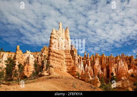 Escursioni tra gli hoodooh nel Queens Garden Trail. Bryce Canyon National Park. Utah Stati Uniti Foto Stock