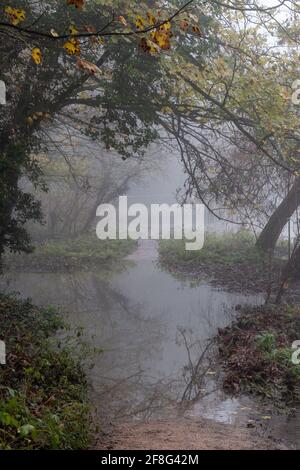 La River Cam che corre lungo Trumpington Meadows in una nebbiosa mattinata invernale. Cambridge, Regno Unito Foto Stock