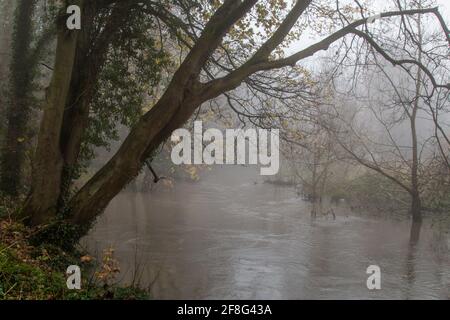 La River Cam che corre lungo Trumpington Meadows in una nebbiosa mattinata invernale. Cambridge, Regno Unito Foto Stock