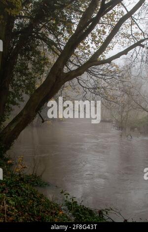 La River Cam che corre lungo Trumpington Meadows in una nebbiosa mattinata invernale. Cambridge, Regno Unito Foto Stock