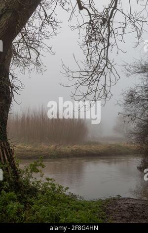 La River Cam che corre lungo Trumpington Meadows in una nebbiosa mattinata invernale. Cambridge, Regno Unito Foto Stock